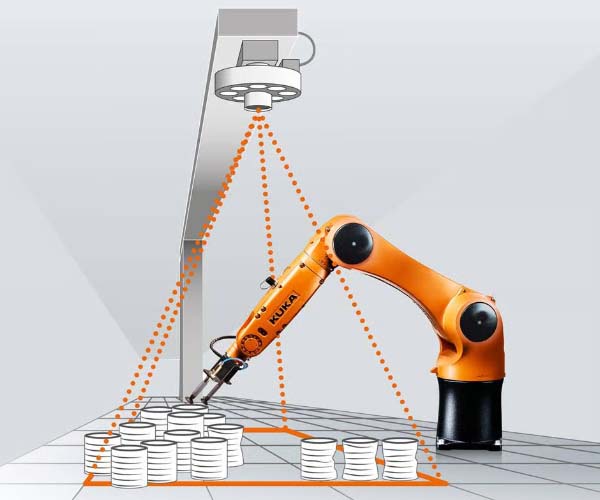 Robotic guidance
