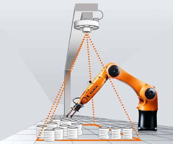 Robotic guidance
